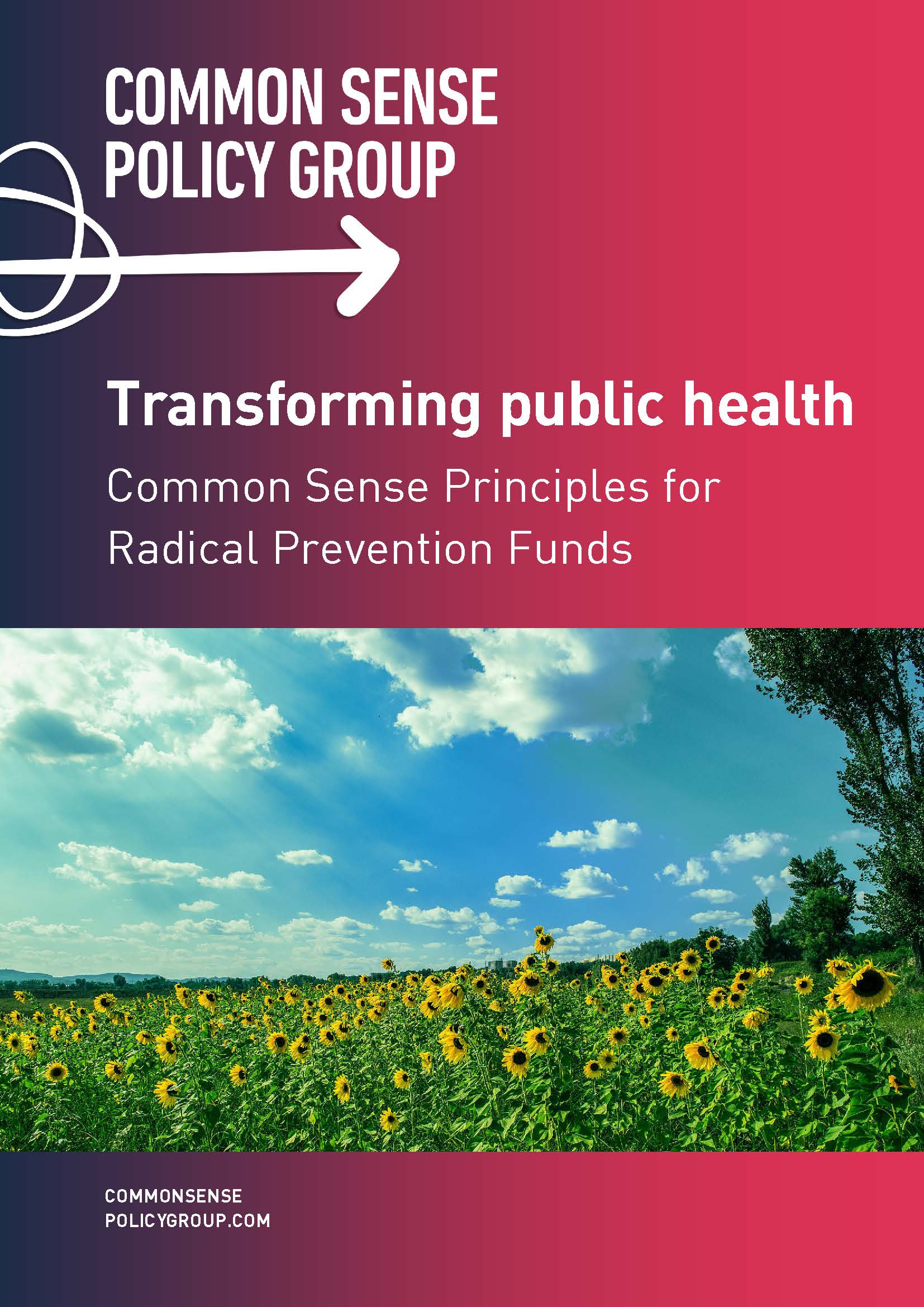 Transforming public health: Common Sense Principles for Radical Prevention Funds front cover