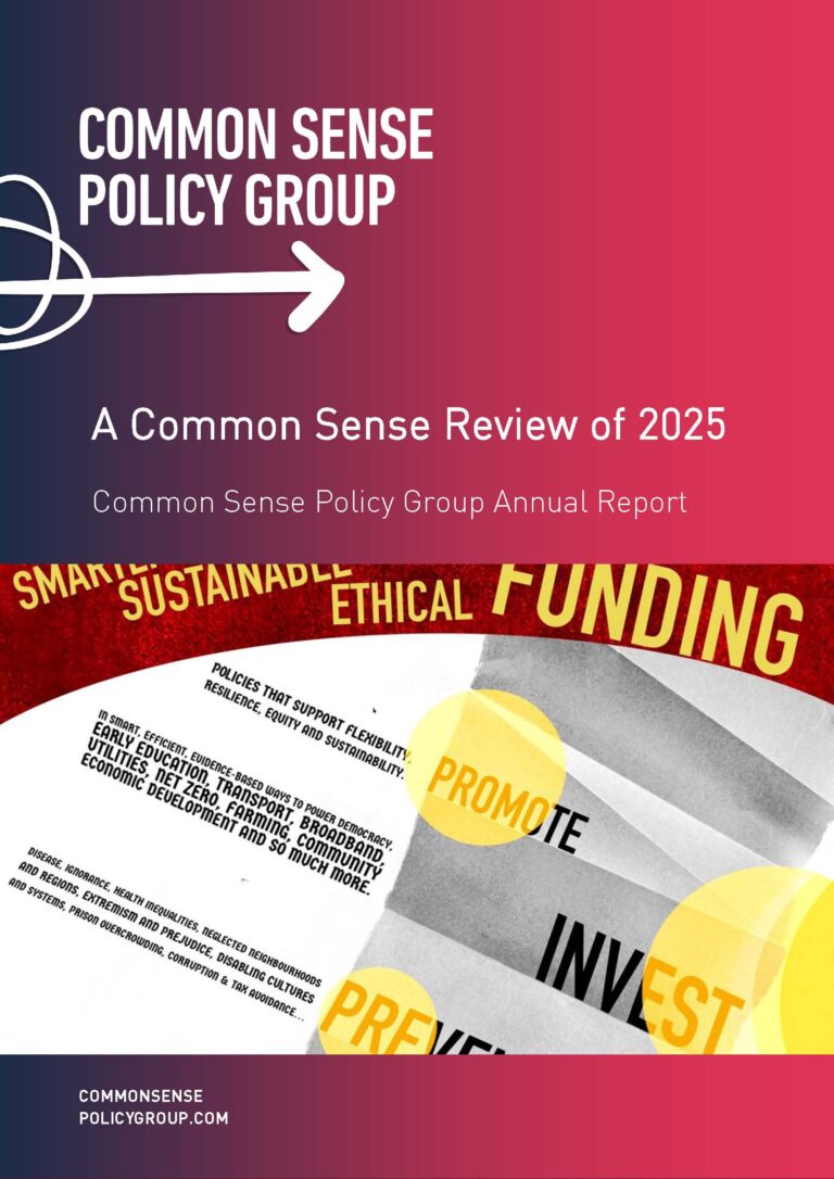 Common_Sense_Review_of_2025_Front_Cover
