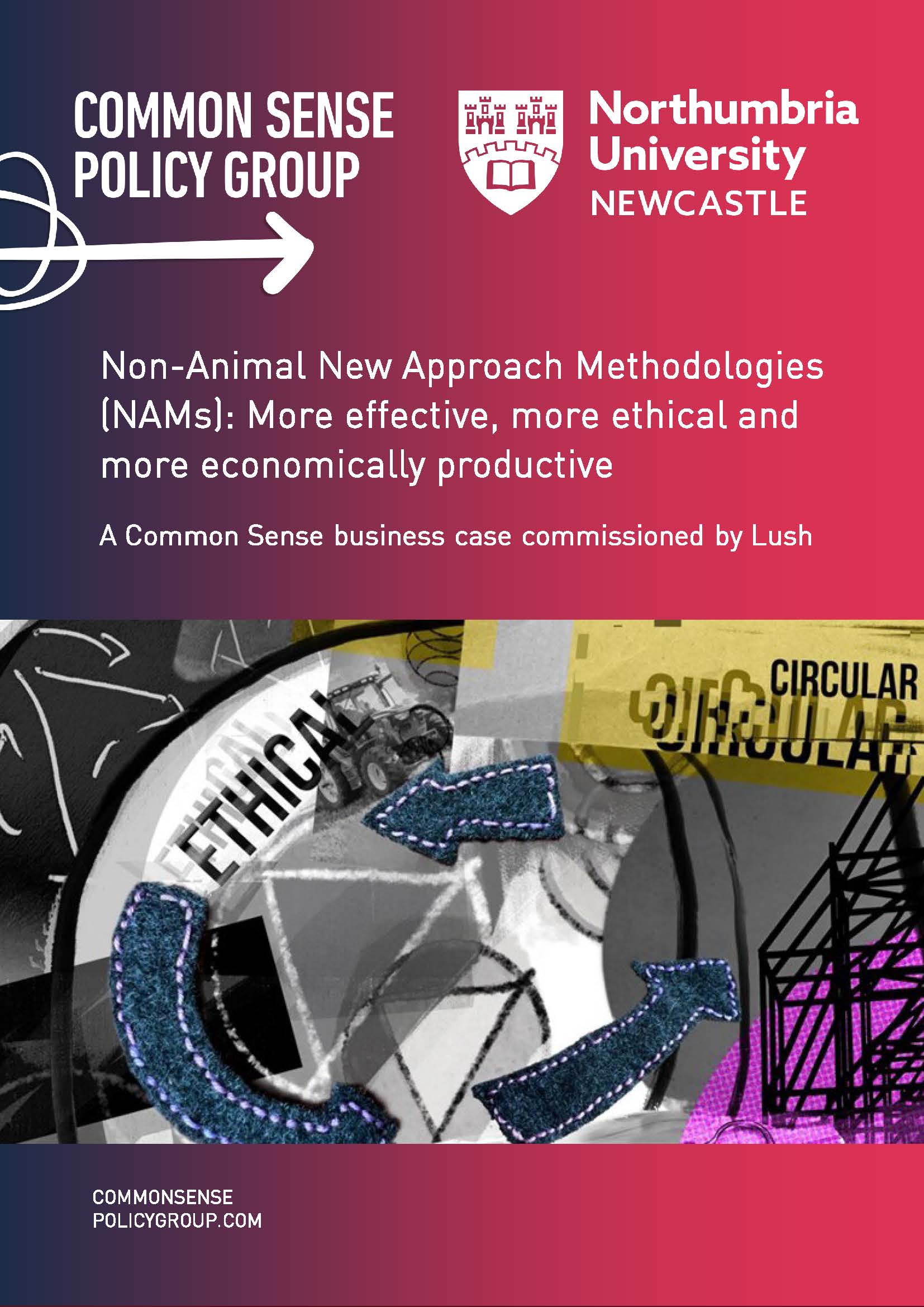 NAMs Business Case report front cover